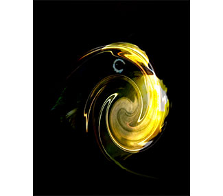 head of a bird in a swirl